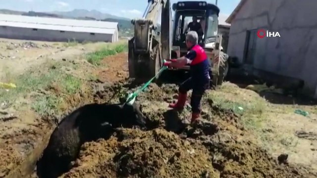 Çamura saplanan ineği itfaiye ekipleri kurtardı