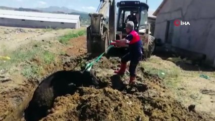 Çamura saplanan ineği itfaiye ekipleri kurtardı
