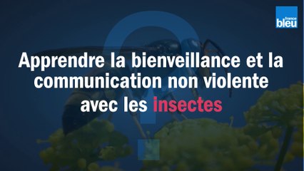 Apprendre la bienveillance et la communication non violente avec les insectes
