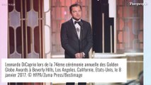 Leonardo DiCaprio sacrifie une (grosse) part de sa fortune dans un projet très spécial...