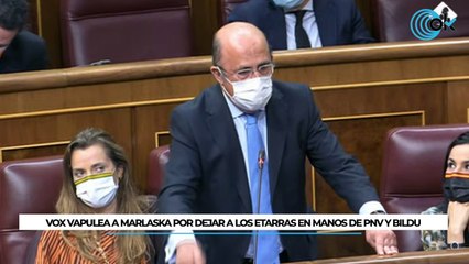 Tải video: Vox vapulea a Marlaska por dejar a los etarras en manos de PNV y Bildu: 