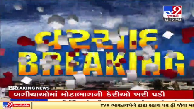 Cyclone Tauktae destroy crops, Farmers seeking govt help _ Rajkot _ Tv9GujaratiNews