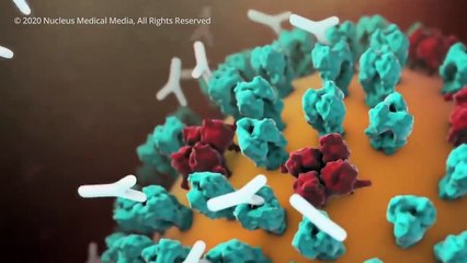 Managing COVID 19 through timelines I Dr. Mathew Varghese