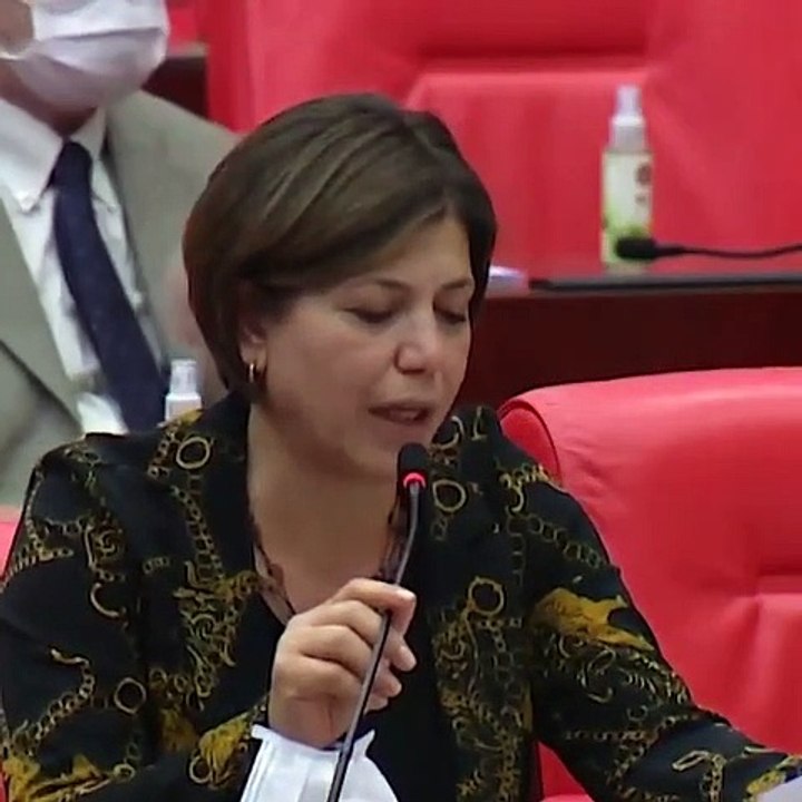 HDP'li Meral Danış Beştaş: Maalesef Türkiye zorla kaybedilenlerin coğrafyası; zorla kaybetme TCK'da bir suç olarak düzenlenmelidir