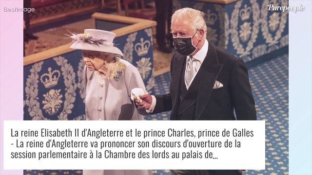 Elizabeth II dévastée : le sort s'acharne, un autre fidèle compagnon est parti trop tôt