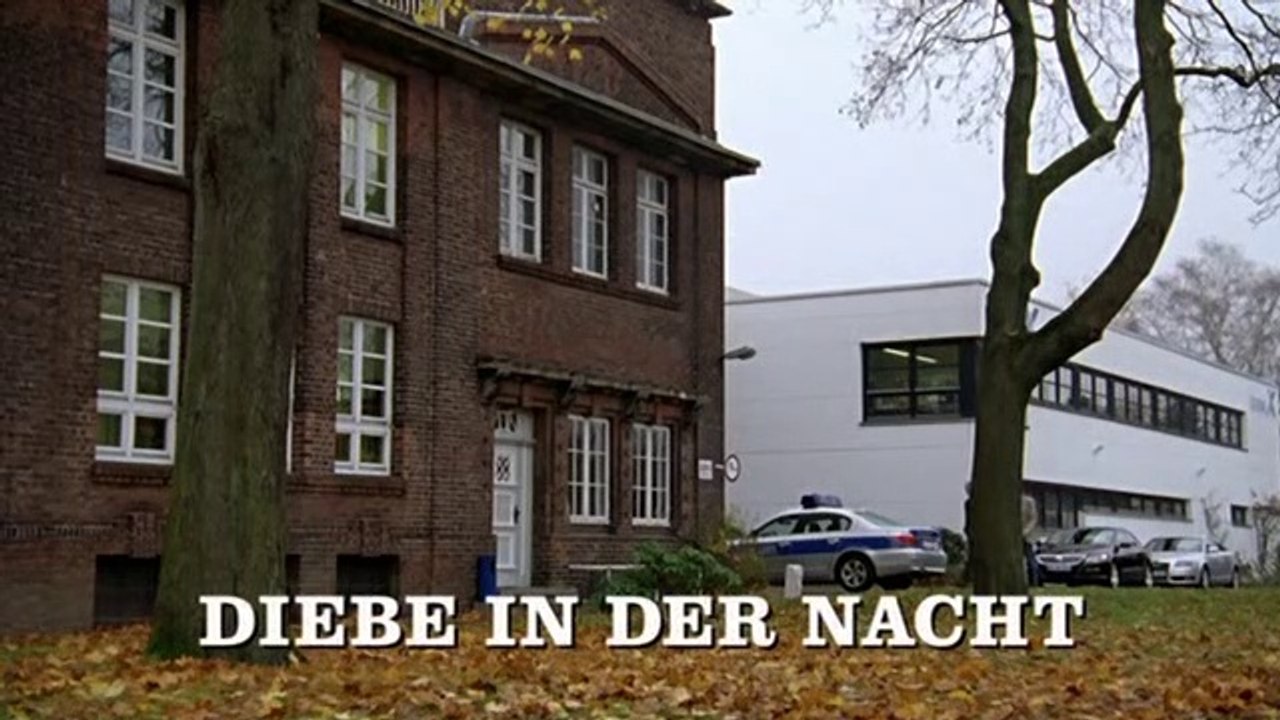 Großstadtrevier - 307. Diebe in der Nacht
