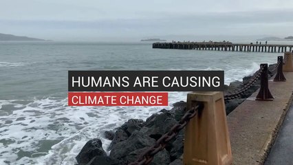 Humans Are Causing Climate Change
