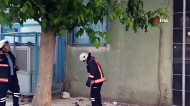 Anne karga, itfaiye ekiplerine zor anlar yaşattı