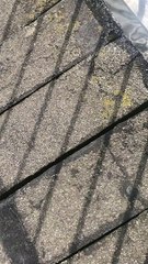 The damaged bridge at Princes Park