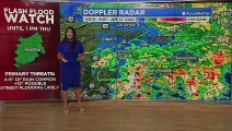 Elita Loresca on ABC 13 Houston (19/05/2021)