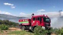 BİNGÖL - Orman yangınında 9 dönüm alan zarar gördü