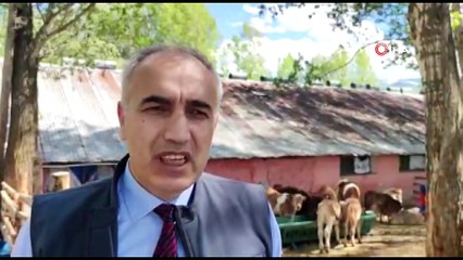 - Aşkale’de zirai don tespiti