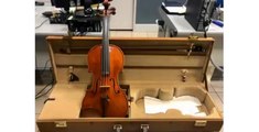 Cremona - Violino rubato a commercialista: presi gli autori (19.05.21)