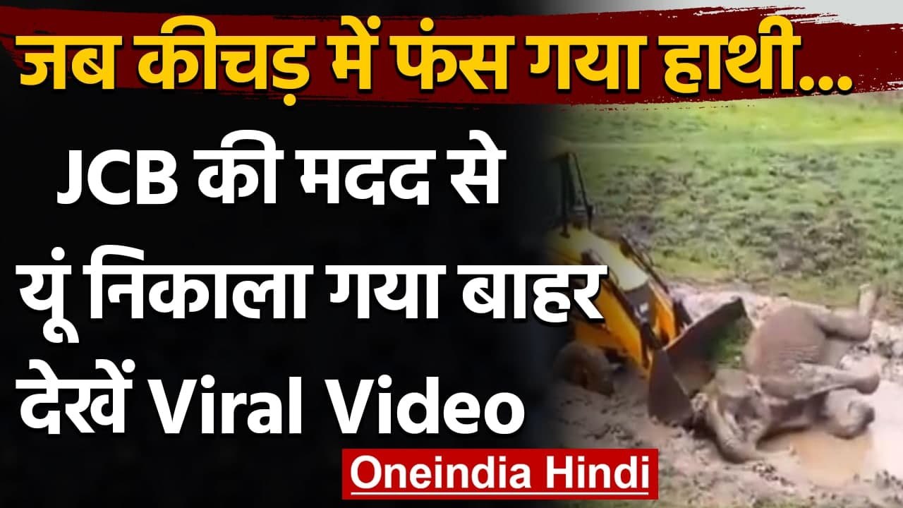Viral Video: JCB की मदद से बचाई हाथी की जान, Re...