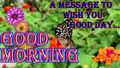 Good morning | good morning wishes | morning song | morning video | morning status | have a nice day ahead | have a blessed day | have a wonderful day | a message to wish you a good day