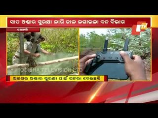 Khordha Forest Dept Makes Arrangements To Protect Python & Her Eggs In Forest | Odisha