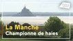 La Manche : championne de France du boisement de haies
