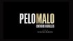 PELO MALO, CHEVEUX REBELLES (2013) VOSTFR HDTV-XviD MP3
