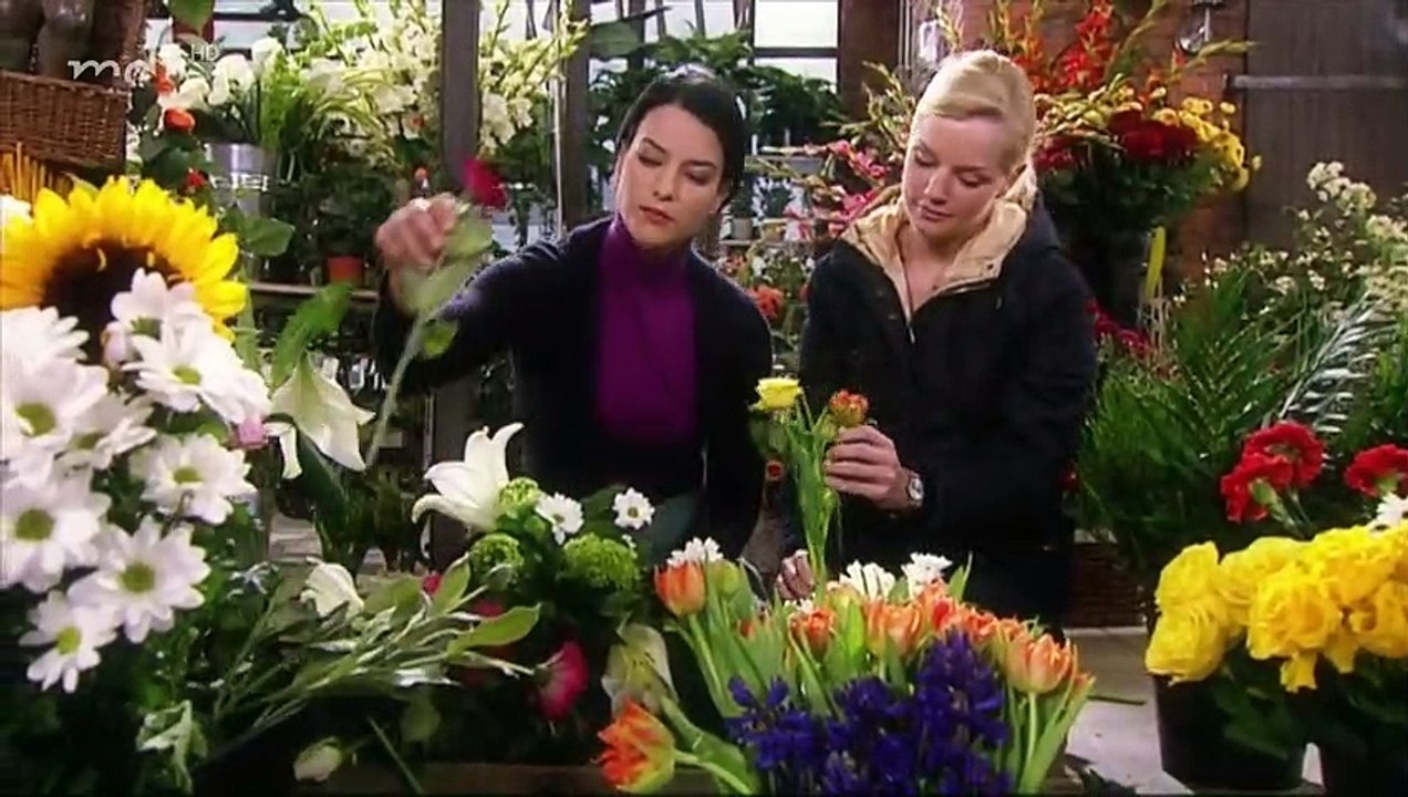 Rote Rosen Folge 342