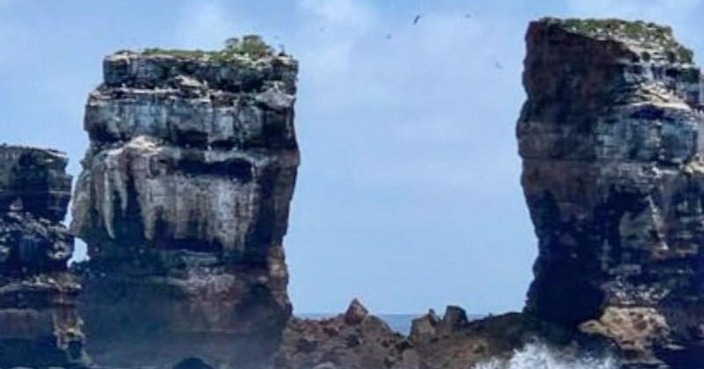 L'arche de Darwin s'est écroulée aux Galapagos - Sciences et Avenir