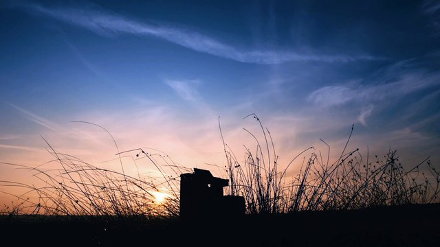 Mavi & Güneş - Hala (Teaser)