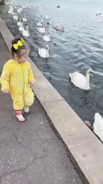 Cette fillette est devenue la reine des cygnes... Adorable