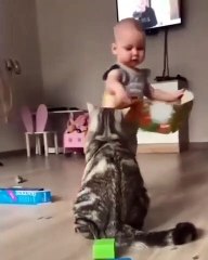 Toddler Teachs Kitty Some Manners