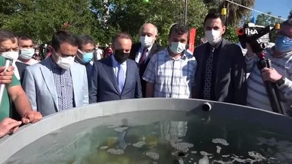 22 bin balık yavrusu Çanakkale Boğazı'na bırakıldı