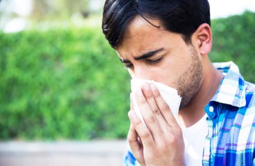 Relieve Your Seasonal Allergy Symptoms With These Items