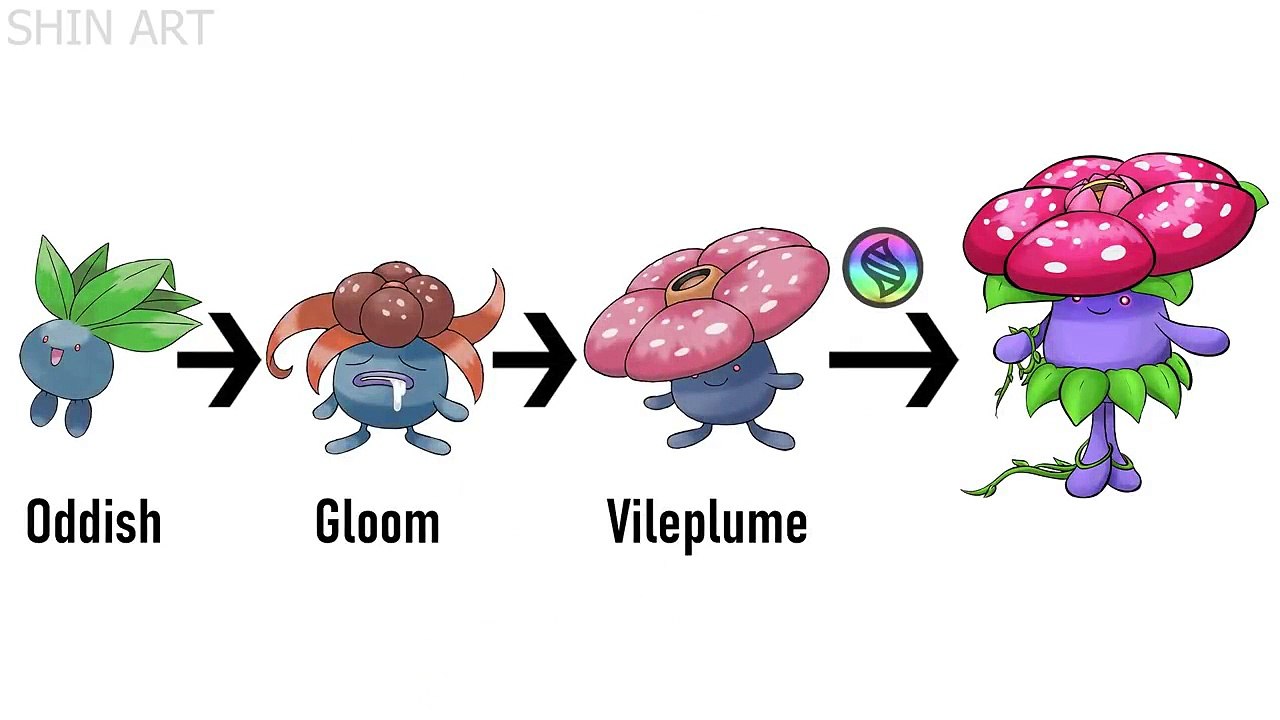 WORLD RECORD - Drawing Every Mega Evolutions #5 _ All 151 Kanto Pokémon