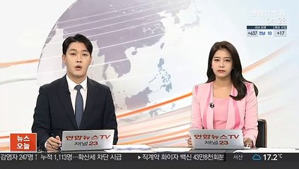 문대통령 방미 기간 한미 기업인 참석 행사 추진