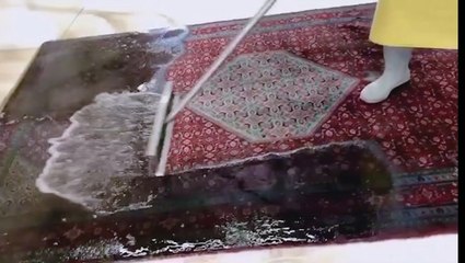 Watch 10 things get professionally deep cleaned