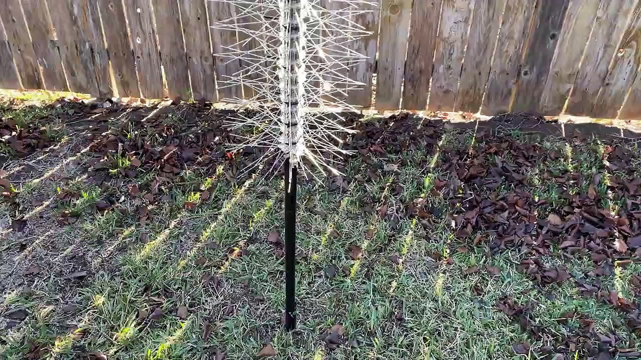 Diy Bird Feeding Hacks - Squirrel Proof Feeder