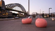 Smaller display set up along Sydney Harbour this year