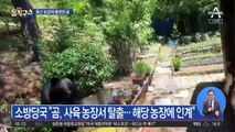 [핫플]울산 농장에 출현한 반달가슴곰