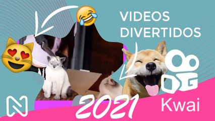 VIDEOS DE RISA MUY DIVERTIDOS, Si Te RÍES PIERDES Nivel: KWAI  MAYO 2021.