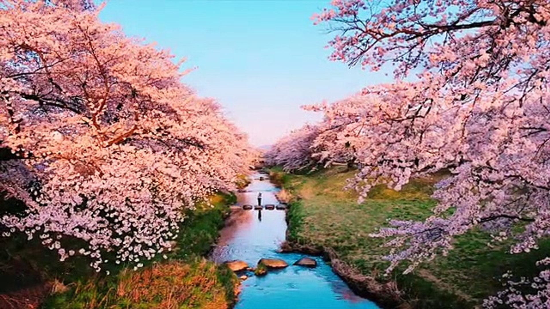 ⁣Chinese Bamboo Flute Music, Healing Music, Relaxation Music, Study Music, Study Music