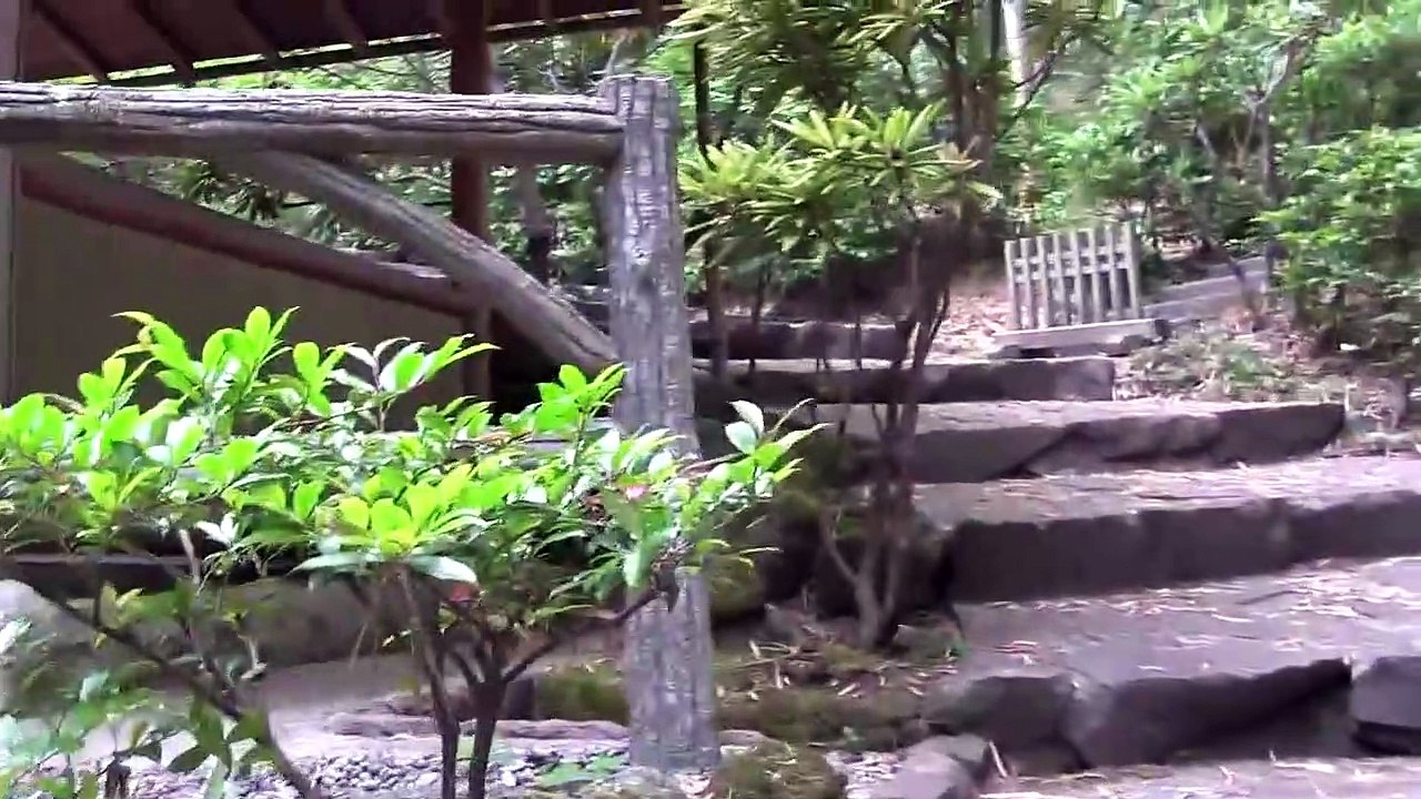 Bamboo Forest - Bamboo Forest (Full Album) [Psychedelic Visuals]