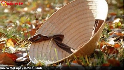 Mơ thấy cái nón có tỉ lệ trúng cao nhất