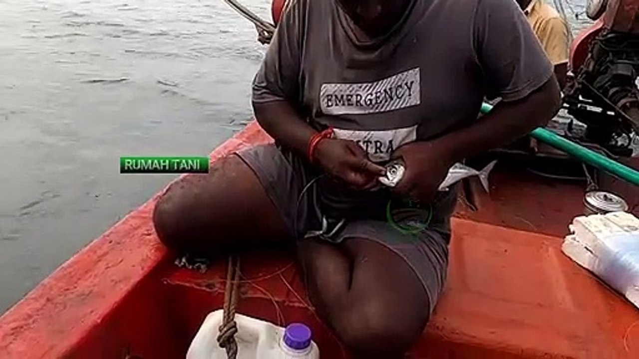 Ikan Segar Baru ditangkap