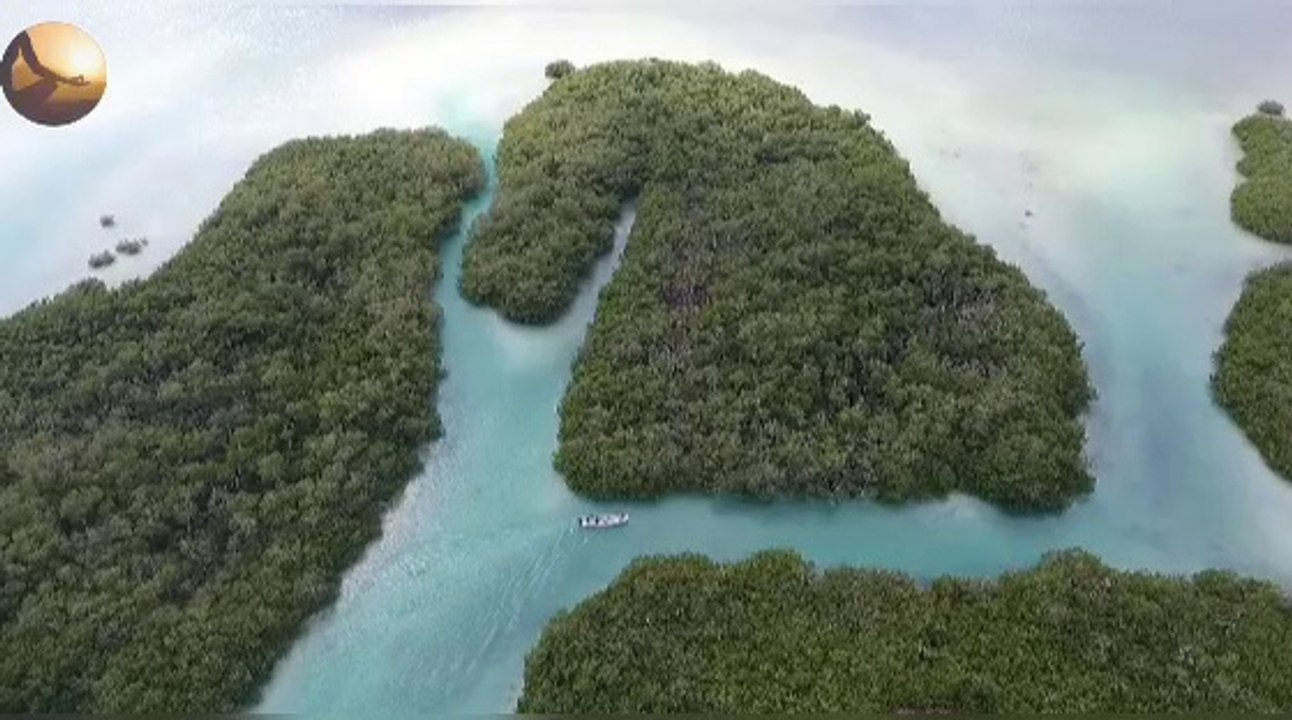 Super deep meditation music: you inner peace, relaxing music, deep relief, increase focus music