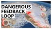 Greenland Ice Sheet Caught in Feedback Loop, Melting Fast