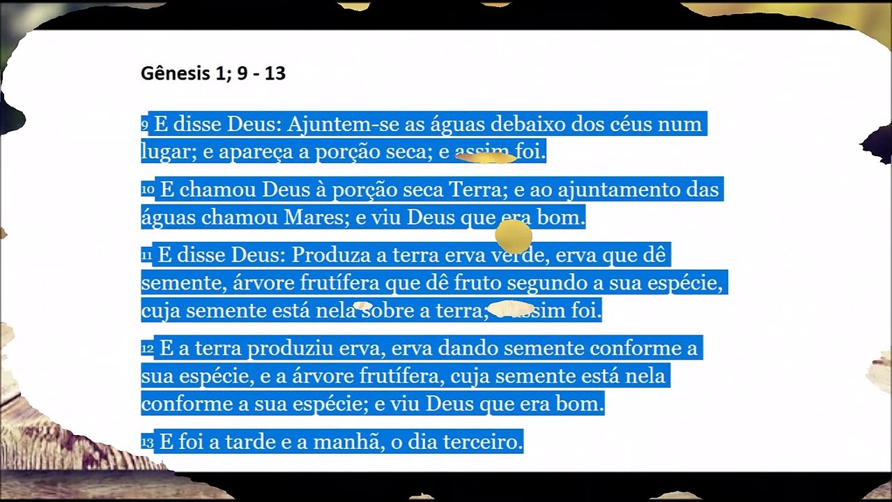 As Ovelhas Perdidas #5