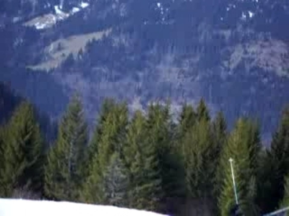 Saut Tino