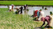 100 Shahar 100 Khabar: Govt hikes DAP fertiliser subsidy