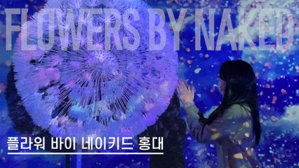 랜선여행 플라워 바이 네이키드 홍대 (Korea Online Tour, FLOWERS BY NAKED HONGDAE) / 디따