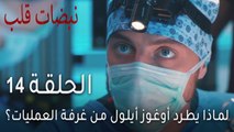 نبضات قلب الحلقة 14 - لماذا يطرد أوغوز أيلول من غرفة العمليات؟