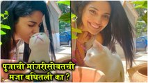 Pooja Sawant Playing With Her Cat Will Melt Your Heart | पूजाची मांजरीसोबतची मजा बघितली का ?