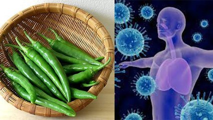 Green Chilli खाने से बढ़ेगी Immunity और मिलेंगे ये फायदे, Corona काल में जरूर करें सेवन । Boldsky