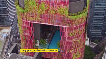 Singapour : une ville plus verte pour lutter contre le réchauffement climatique